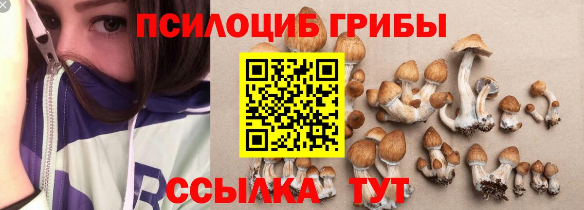 Ялуторовск  Псилоцибиновые грибы ЛСД  закладки  Вход с VPN 